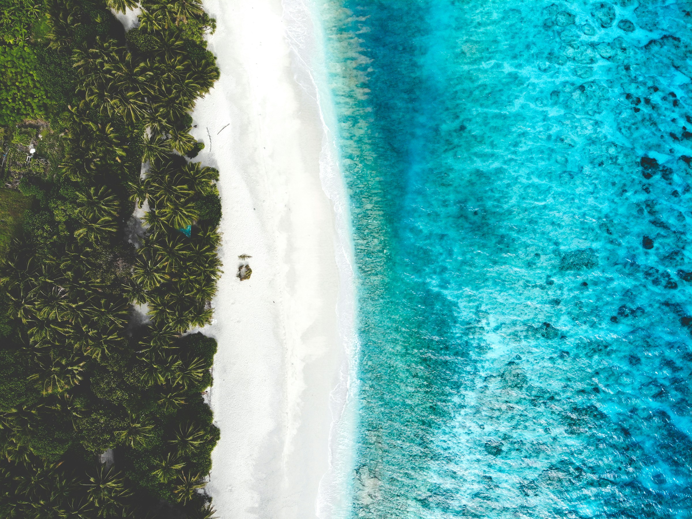White sand meeting bright tropical water